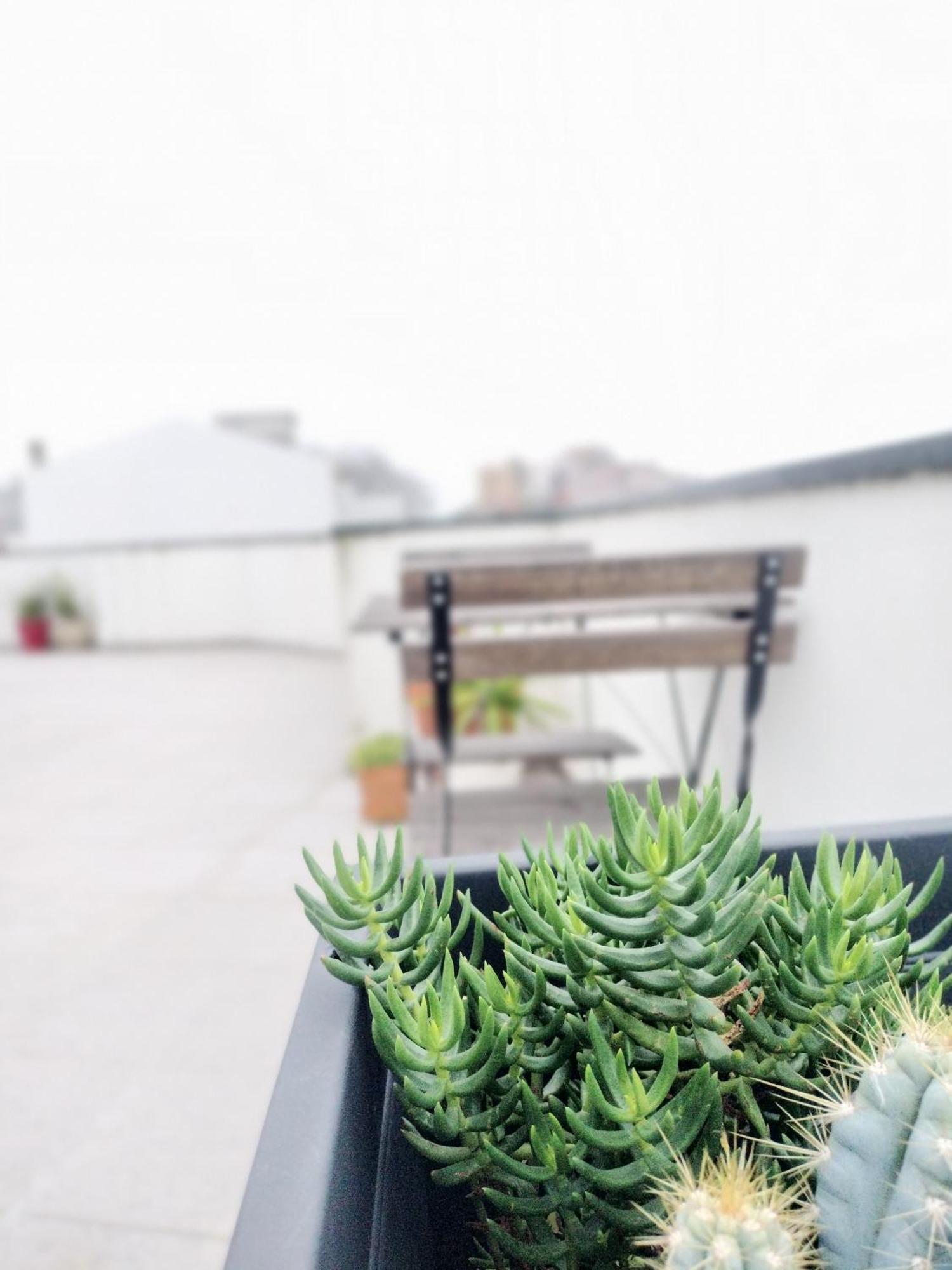 Marques Rooftop Al Apartment Porto